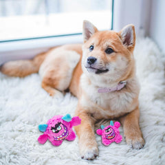 FCCUM inner elastic ball revealed—engaging fetch and interactive surprise.