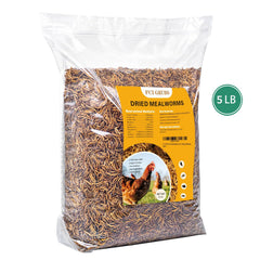 FCI GRUBS crispy-texture closeup highlights crunchy feed for egg production support
