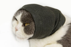 FDANDADE cat ear wrap soft mesh grey, front view, calming during grooming sessions