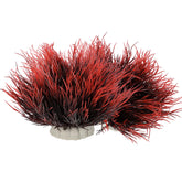 FdcLixuvol aquarium plants black-red set on a stable base for lifelike display.