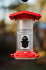 FeatherSnap WiFi app live video feed for remote birdwatching and alerts.
