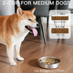 Feedoo Slow Feeder Bowl in stainless steel shows durable construction