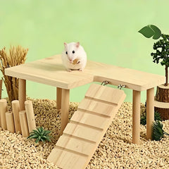 Feiena hamster platform demonstrates water bottle compatibility for easy hydration during activity.