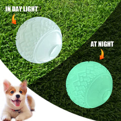 Feixun dog glow ball toy 2-pack offers double fetch fun