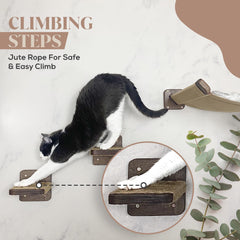 Feline-Me cat wall shelves and perches enabling climbing and exploration.