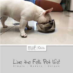 Felli Oblik 304 stainless steel dish cleans easily and resists odors.