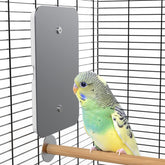 Fenocran Indoor Bird Heater Pad perched setup warms your bird's favorite perch for cozy moments.
