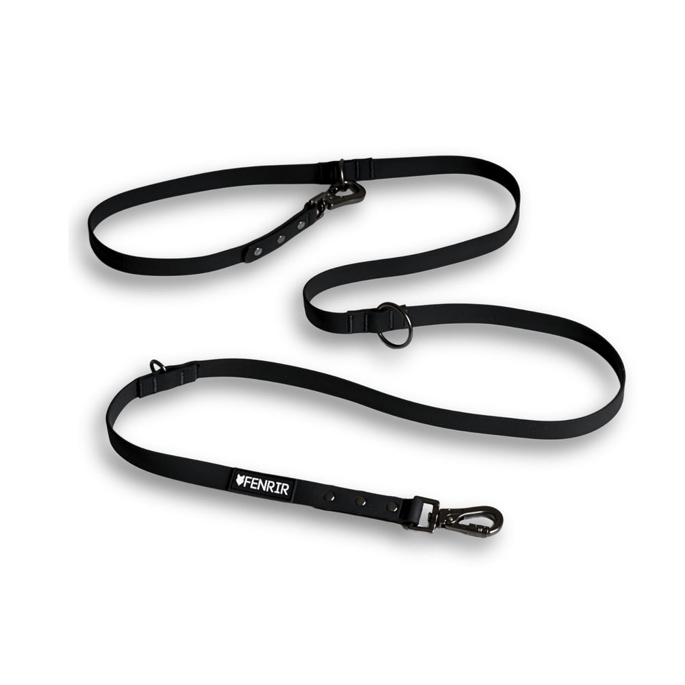 Fenrir dog training leash overview highlighting versatility for recall and controlled walks