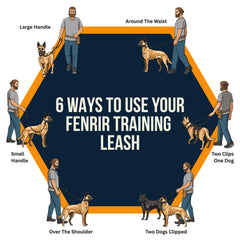 Fenrir double-ended carabiner closeup emphasizing secure two-point control during training sessions