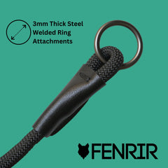 Fenrir slip collar on dog during walk shows pull-management in action.