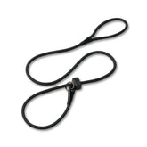 Fenrir Slip Leash head-setup shows easy-on training fit for quick use