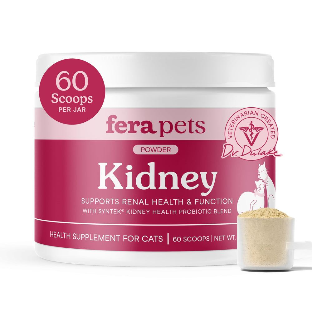 Fera Pets cat kidney support powder bottle demonstrates easy daily kidney health support in kibble.