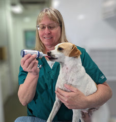Fetch A Vet activated charcoal gel 60ml bottle label close-up emphasizes toxin adsorption benefits.