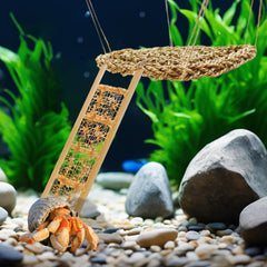 FEXICHUJI small cleaning brush helps quick habitat upkeep