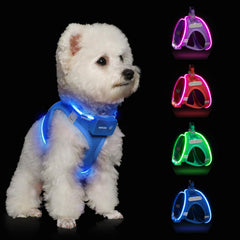 Feycig light-up dog harness sky blue on small dog for safe night visibility