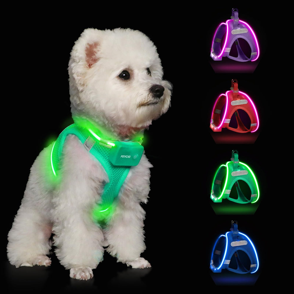 Feycig light up dog harness top view showcases 360° visibility for safer night walks.