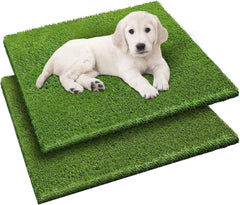 Fezep dog grass pad 2-pack 26x30 inches for easy potty setup