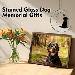 Fhiny dog memorial suncatcher in a window catching sunlight for a warm glow.