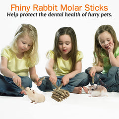 Fhiny durable seagrass sticks resist gnawing while supporting dental wear.