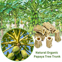 Fhiny rabbit-chew-toys natural papaya wood closeup highlights texture and scent