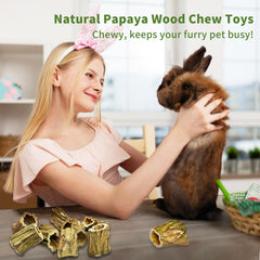 Fhiny rabbit-chew-toys small-pets-snacks ideal enrichment and nibbling outlet