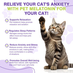 FHZRLP cat-sleep-time shows a relaxed cat ready for restful night.