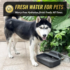 Ficuswin extra-large drinking area suits multiple pets and outdoor environments.