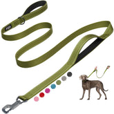 Fida 6ft heavy-duty leash clip hook for quick secure attachment during walks