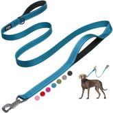 Fida 6ft heavy-duty dog leash with easy-hook in action, secure clip for smooth setup.