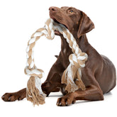Fida dog rope toy with three knots for durable chewing sessions.