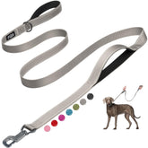 Fida leash with advanced easy-hook clips for quick secure attachment during walks.