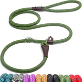 Fida slip lead adjustable loop on a dog for easy on-off control.