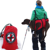 Fido Pro Airlift lightweight packable sling on a trail for medium dogs.