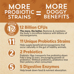 Fidobiotics Good Guts food topping image suggests easy mixing with meals.
