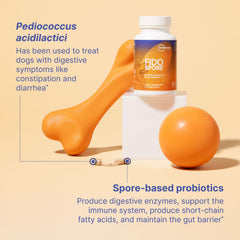 Fidospore dog and cat probiotics action visual for gut support.