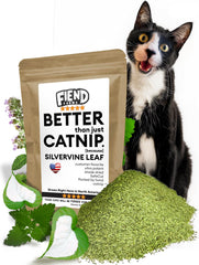 Fiend Catnip + Silvervine 11g pack ideal for cat playtime and enrichment