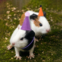 Fiestivo mini party hat for stuffed animals in green brightens birthday cake toppers.