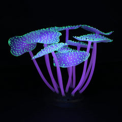 Filhome glowing fish tank decor Pink Feather Coral brightens the tank and invites exploration.
