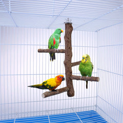 Filhome perch installed in cage supports shared play for multiple birds