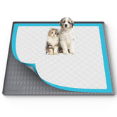 Filmicy pee pad holder with raised edges securing 34x28 pads for spill-free training.