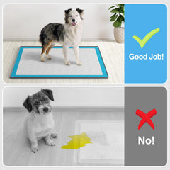 Filmicy pee pad holder waterproof silicone surface cleans quickly after daily use.
