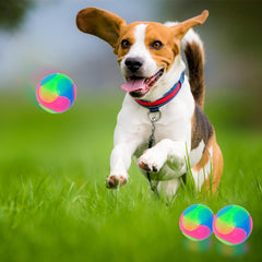 FineInno large light up dog ball bounce showcases durable, engaging play.