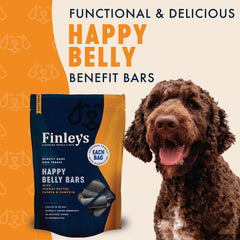Finley's peanut-butter-papaya-pumpkin-bars-closeup highlights savory flavors and soft texture.