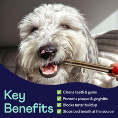 Finn bacon-flavor with mint freshness enhances breath-friendly chew experience