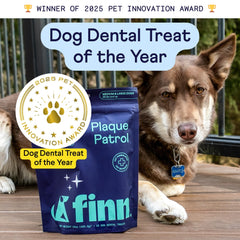 Finn dog chewing Plaque Patrol detail demonstrates effective dental engagement