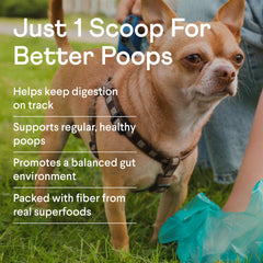 Finn Pumpkin Plus real pumpkin ingredients highlight fiber-rich, natural nutrition for regularity.