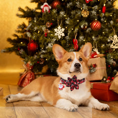 Fipergen Christmas dog collar in buffalo plaid with snowflake pattern for festive photos