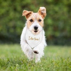 Fipsieneml bandana soft polyester 25 inches comfortable for small and medium dogs.
