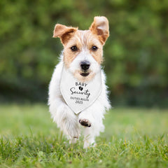 Fipsieneml dog bandana small-medium-dog-fit designed for comfortable wear