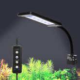 fishkeeper Clip-On LED Light sunrise glow for natural dawn effect.